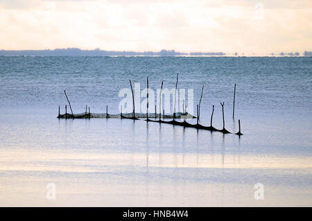 Fischernetze in der Mitte der Lagune in Italien gedreht, Valle Cavanata Naturreservat. Stockfoto