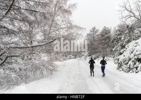 Montreal, CA - 4. Januar 2017: verschneite Winterlandschaft in Montreal, Quebec (Botanischer Garten) Stockfoto