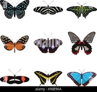 Satz von neun Schmetterlinge Stock Vektor