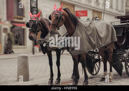 Zwei Pferde in lustige Hüte mit alten Wagen Stockfoto