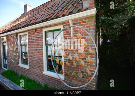 Scholle Fisch hängen zum Trocknen auf ein Haus der Niederlande Stockfoto