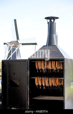 geräucherte Makrele Fisch in den Niederlanden Stockfoto