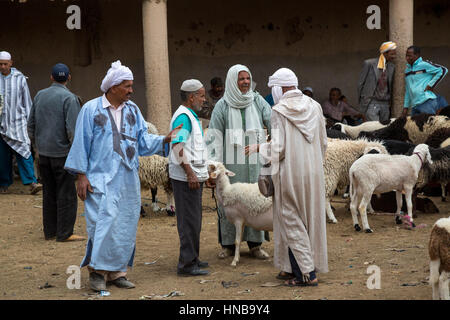 Rissani, Marokko.  Männer diskutieren Verkauf von Schafen in der Viehmarkt. Stockfoto