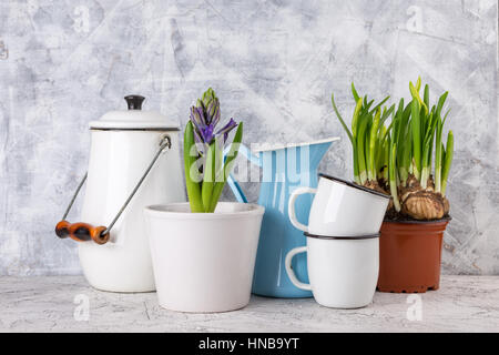 Zwei weiße Emaille Becher, blaues Glas, weiße Dose und Frühling Blumen im Topf auf hellem Hintergrund Stockfoto