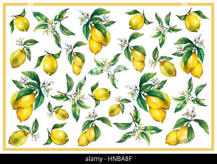 Der Hintergrund der Zweige frischer Zitrusfrüchte Zitronen mit grünen Blättern und Blumen. Handgezeichnete Aquarell auf weißem Hintergrund Stockfoto