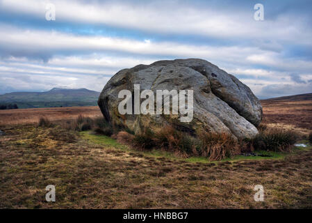 Der große Stein Fourstones, Wald von Bowland, in der Nähe von hohen Bentham, North Yorkshire, UK. Ingleborough kann im Hintergrund gesehen werden. Stockfoto