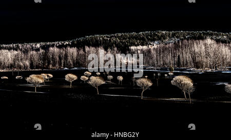 Schwarze Golf Course Stockfoto