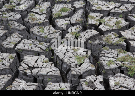 Abstrakte zeigt tief rissig Schlamm in einem ausgetrockneten Wasserloch in einer Dürre heimgesuchten Gegend in Ostafrika Stockfoto