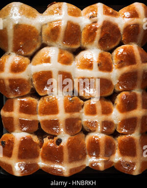 Hausgemachte Hot Cross Buns bereit für Ostern Stockfoto