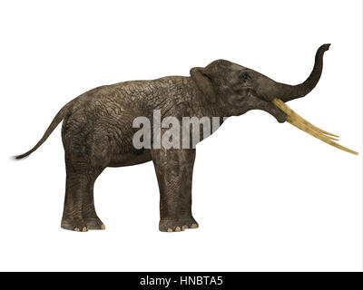 Stegotetrabelodon war ein Elefant, die im Miozän und Pliozän Perioden von Afrika und Eurasien lebten. Stockfoto