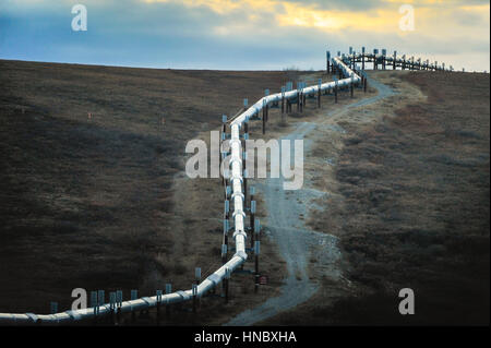 Trans-Alaska Pipeline System, (TAP), Alaska, USA Stockfoto