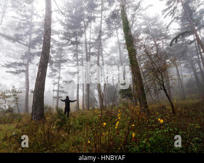 Mann stehend im Wald mit Arme ausgestreckt, Spanien Stockfoto