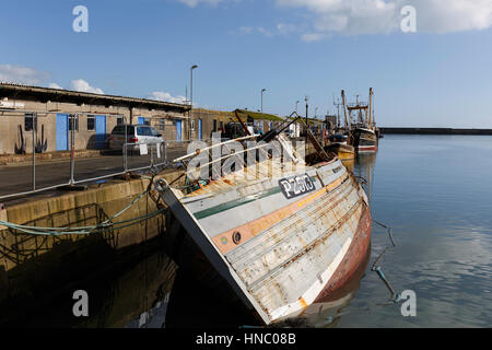 Eine Reihe von verfallenen und ausgemusterte Fischerboote liegen neben der Ost-Kaimauer in Newlyn harbour Stockfoto