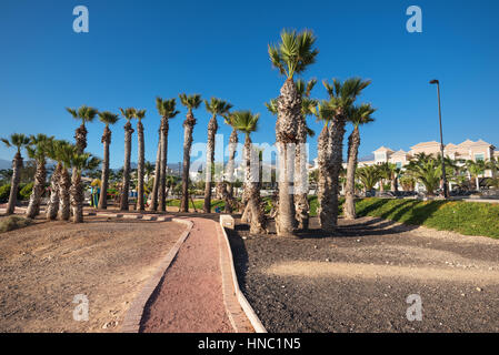 Stadtpark in Alcala Dorf, Suth Tenerife Island, Kanarische Inseln, Spanien. Stockfoto