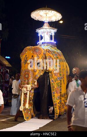 Colombo, Sri Lanka. 10. Februar 2017. Ein Elefant trägt einen Altar mit buddhistischen Reliquien vor dem Gangarama Tempel während des Festivals Navam Perahera in Colombo, Sri Lanka, 10. Februar 2017. Eine große Festival Parade, benannt "Navam Perahera" wird jährlich im Februar in Sri Lanka, zeigt die reiche religiöse und kulturelle Tradition der Inselstaat gefeiert. Bildnachweis: Gayan Sameera/Xinhua/Alamy Live-Nachrichten Stockfoto