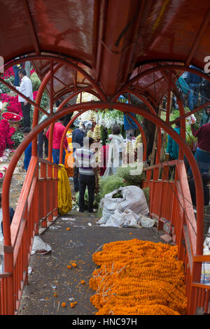 Dhaka, Bangladesch. 11. Februar 2017.People beschäftigen sich mit dem Handel von Blume im Shahbag Blumenmarkt in Dhaka, Bangladesch am 11. Februar 2017. Tausende von Besuchern kommen diesen Markt am frühen Morgen um Blumen zu kaufen, wie Anbieter ihre Blüte aus der südlichen Region des Landes bringen.  Shahbag ist berühmt für den Blumenmarkt. Es ist der größte Blumenmarkt von Bangladesch. Hier sind Blume verkaufen im gesamten-Sell und Einzelhandel Preis. Diese Blumen sind aus verschiedenen Districs in Bangladesch stammen. Bildnachweis: Zakir Hossain Chowdhury Zakir/Alamy Live-Nachrichten Stockfoto