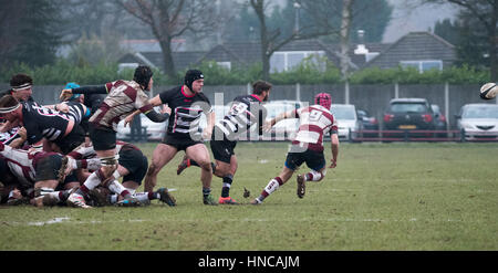 Brentwood, Essex, England. 11. Februar 2017. Thurrock RFC (5) spielt gegen Brentwood RFC] (29) Credit: Ian Davidson/Alamy Live News Stockfoto