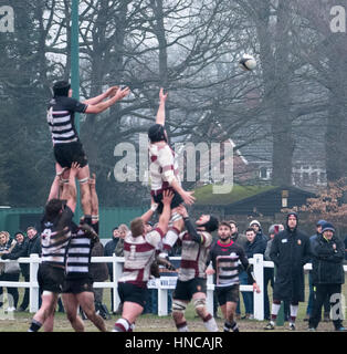 Brentwood, Essex, England. 11. Februar 2017. #Thurrock RFC (5) spielt gegen Brentwood RFC] (29) Credit: Ian Davidson/Alamy Live News Stockfoto