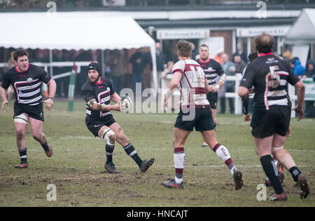 Brentwood, Essex, England. 11. Februar 2017. #Thurrock RFC (5) spielt gegen Brentwood RFC] (29) Credit: Ian Davidson/Alamy Live News Stockfoto