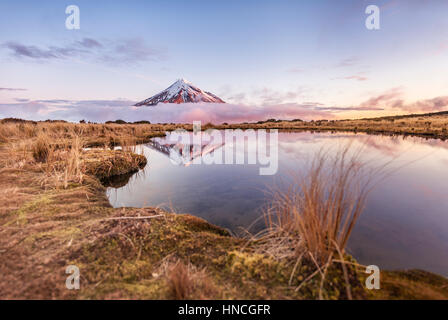 Spiegelbild im See, rosa Wolken Stratovulkan Mount Taranaki oder Mount Egmont Pouakai Tarn bei Sonnenuntergang, Egmont-Nationalpark Stockfoto