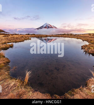 Spiegelbild im See, rosa Wolken Stratovulkan Mount Taranaki oder Mount Egmont Pouakai Tarn bei Sonnenuntergang, Egmont-Nationalpark Stockfoto