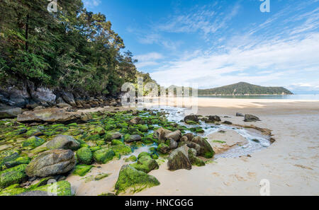 Strand, Strand Beobachtung, Abel Tasman Nationalpark, Tasman Region, Southland, Neuseeland Stockfoto