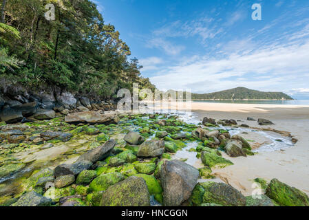 Strand, Strand Beobachtung, Abel Tasman Nationalpark, Tasman Region, Southland, Neuseeland Stockfoto