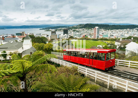 Historische Zahnradbahn, Wellington Cable Car, Region Wellington, Nordinsel, Neuseeland Stockfoto