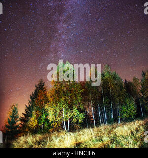 fantastische Winter Meteorschauer und die schneebedeckten Berge. Stockfoto