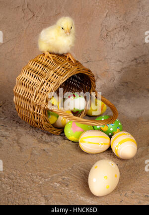 Kleine gelbe Küken sitzt auf einem Osternest Stockfoto