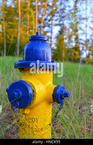 Ungewöhnliche hell gelb blau Kontrast Farbe/Farbe Wasser Hydranten gegen grünen Rasen in Stafford, Virginia, USA Stockfoto