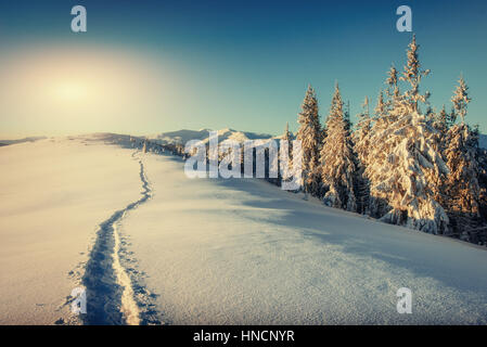 Traumhafte Winterlandschaft und ausgetretenen Pfade, die in führen die Stockfoto