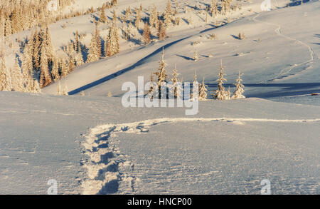 Traumhafte Winterlandschaft und ausgetretenen Pfade, die in führen die Stockfoto