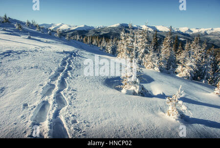 Traumhafte Winterlandschaft und ausgetretenen Pfade, die in führen die Stockfoto