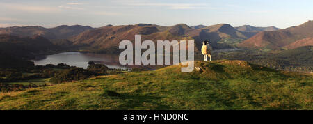 Misty Sonnenuntergang über Derwentwater, Keswick, Lake District National Park, Grafschaft Cumbria, England, UK Stockfoto