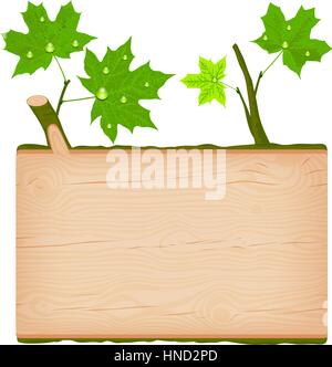 Strukturierte Ahorn Natur Holz rechteckigen Schild mit grünen Blättern und Wasser Tropfen Vektor-illustration Stock Vektor