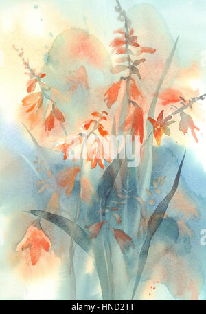 Crocosmia orange Blume Aquarell Stockfoto