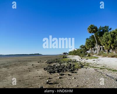 Ebbe in Cedar Key, Florida, USA Stockfoto