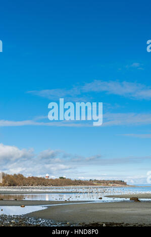 Kye Bay, Comox Valley, British Columbia, Kanada Stockfoto