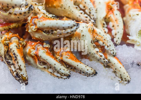 Nahaufnahme von gekochten Hummer auf Eis Stockfoto