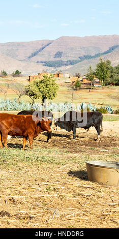 Bewegungsunschärfe in Lesotho Malealea Straßendorf in der Nähe von Berg und Himmel Stockfoto