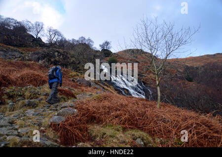 Walker, Lone Hill in der Nähe von saurer Milch Gill Wasserfall Seathwaite, Borrowdale, Nationalpark Lake District, Cumbria, UK. Stockfoto