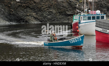 Hummer-Fischer kommen in den Hafen, Forellenfluss, Neufundland Stockfoto