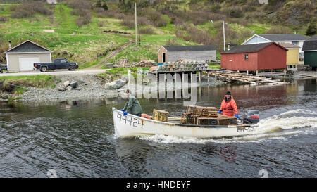 Hummer-Boot mit Fisch Hütten, Angeln Bühnen und Hummerfallen, Forellenfluss, Neufundland Stockfoto