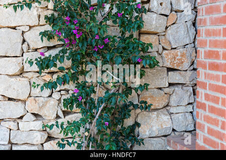 Hintergrund der Stein Trockenbau. Grafische Hilfsmittel. Typisch für die Provinz von Ragusa. Die Orte der Montalbano, Fiktion für das Fernsehen. Stockfoto