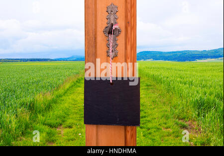 kleine Tafel hängen vom Schlüssel vor grünen Wiese Stockfoto