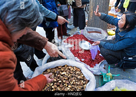 Markt am Osteingang des Beihai-Park, in Dashizuo Hutong, Peking, China Stockfoto
