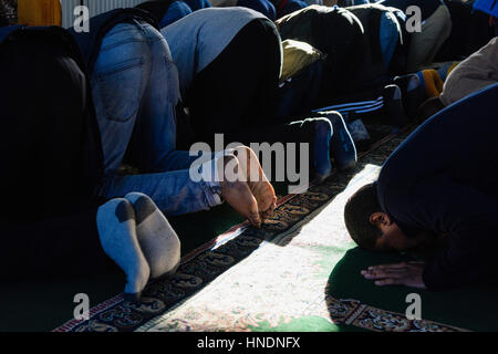 Männer in einer Moschee zu beten. Stockfoto