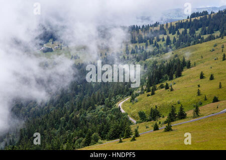 Blick vom Feldberg-Turm, wie Wolken, Schwarzwald, Deutschland Stockfoto