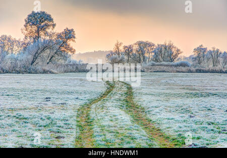 Winter-Szene mit Forsted Bäumen in einem Landschaftsschutzgebiet genannt Goachat in der Nähe von Schrobenhausen (Bayern, Deutschland) Stockfoto